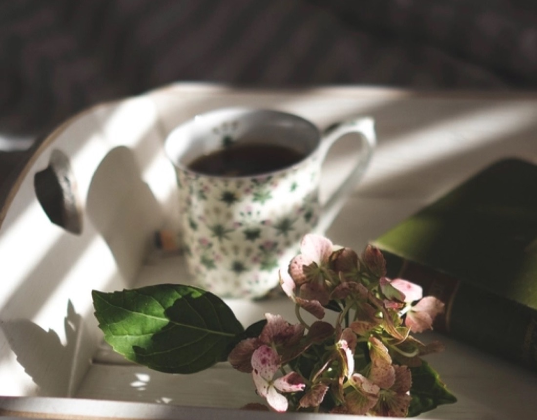 A flowered teacup and pink hydrangeas in soft afternoon light